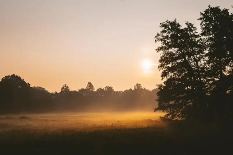 Best time for braces: serene sunrise over a misty field