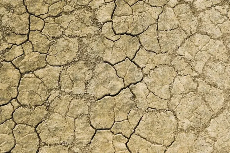 Desert road trip in Alvord Desert, Oregon, symbolizing the dry mouth sensation.