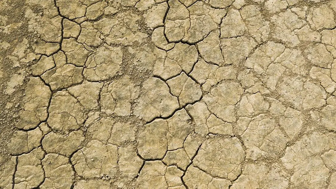 Desert road trip in Alvord Desert, Oregon, symbolizing the dry mouth sensation.