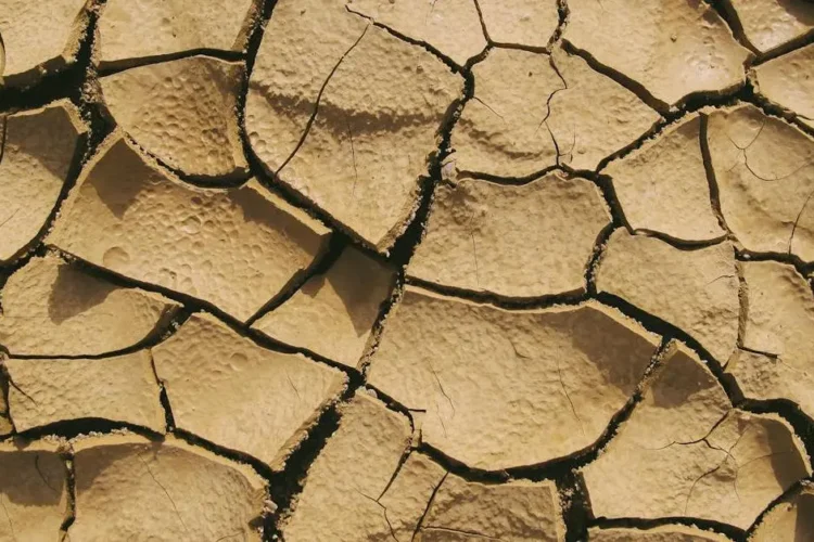 Cracked dry soil illustrating dry mouth causes.