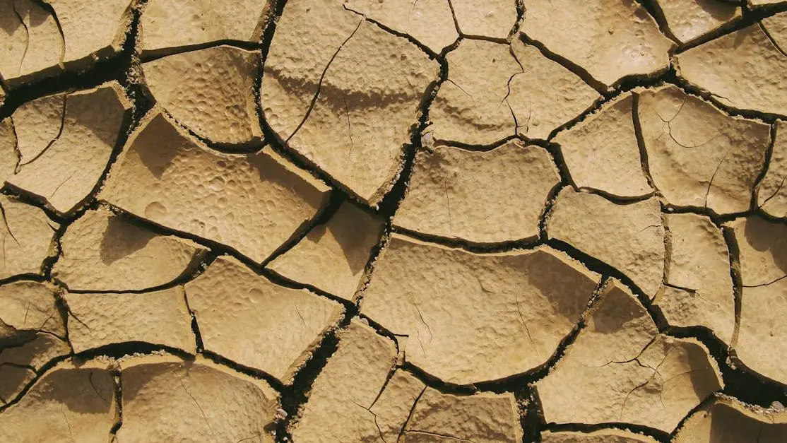 Cracked dry soil illustrating dry mouth causes.