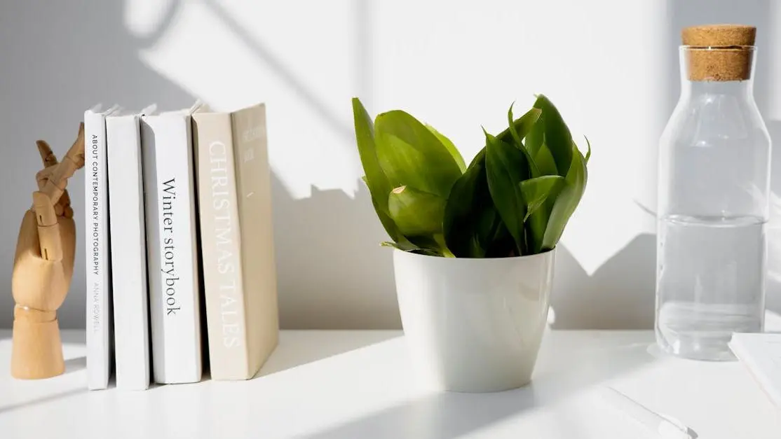 Pain-free cavity fillings concept with a potted plant, water bottle, and books on a white table.