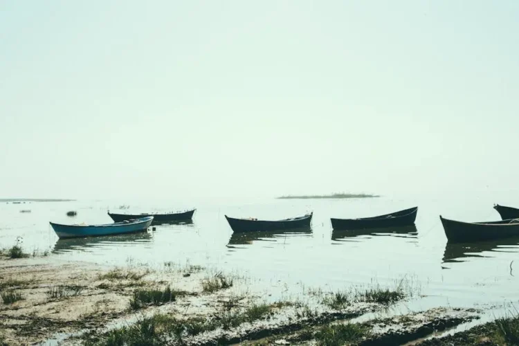 Serene dawn scene symbolizing calmness, aligning with TMJ treatment options.