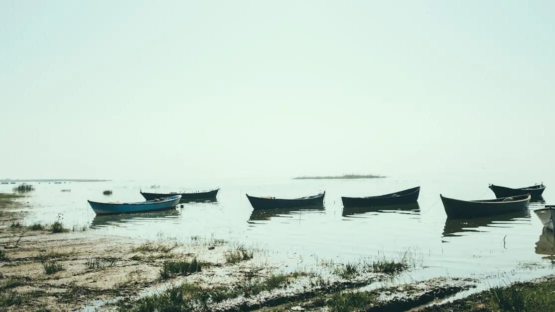 Serene dawn scene symbolizing calmness, aligning with TMJ treatment options.