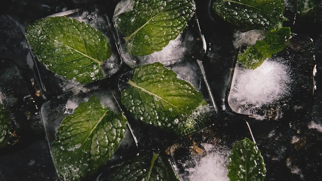 Mint leaves in ice cubes, fresh remedy for bad breath