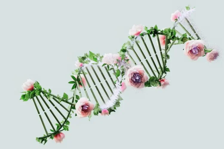 DNA helix with flowers and leaves symbolizing fluoride benefits for adults.