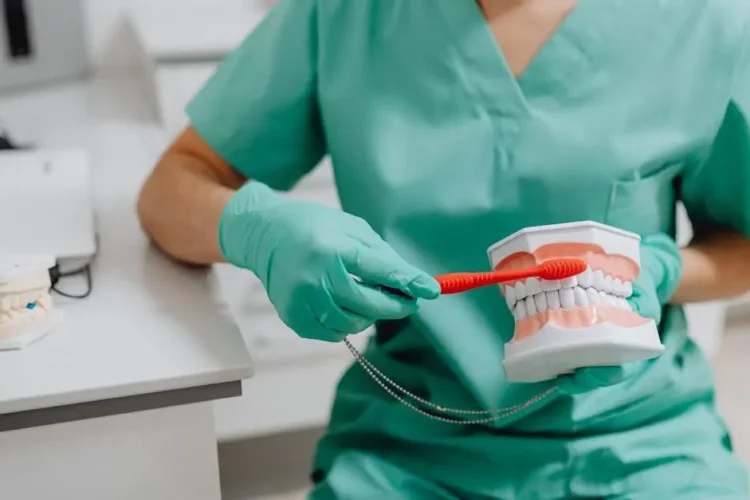 Dentist demonstrating how to brush teeth with braces.