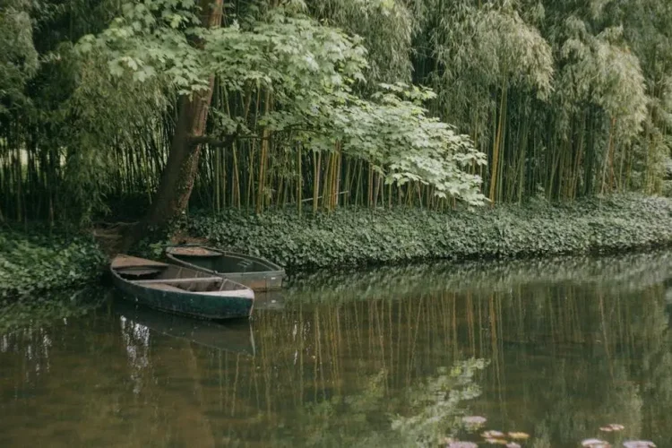 Tranquil scene with boats on a pond, surrounded by lush greenery in Giverny, illustrating IV sedation.