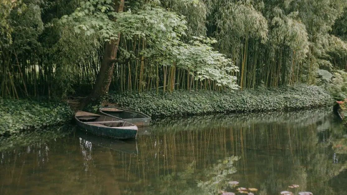 Tranquil scene with boats on a pond, surrounded by lush greenery in Giverny, illustrating IV sedation.