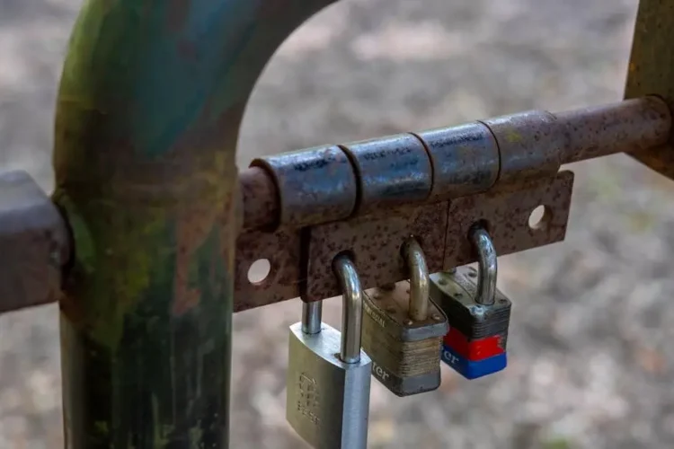 Three locked padlocks on a gate securing mouth guards.