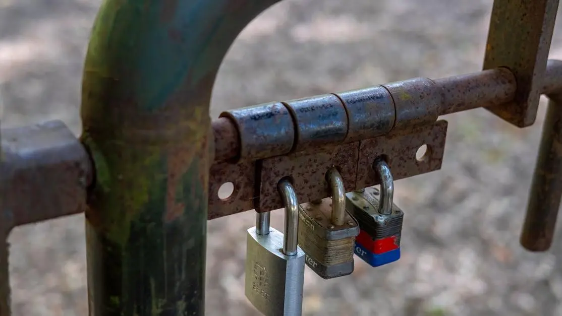 Three locked padlocks on a gate securing mouth guards.