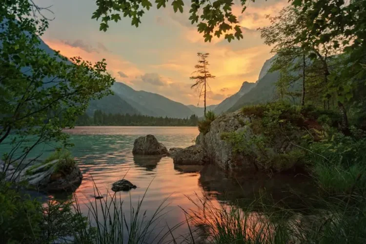 Tranquil nature scene symbolizing pain management after root canal