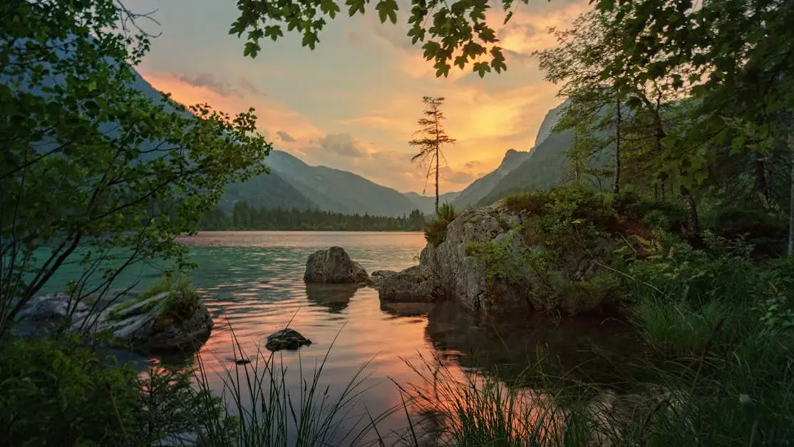 Tranquil nature scene symbolizing pain management after root canal