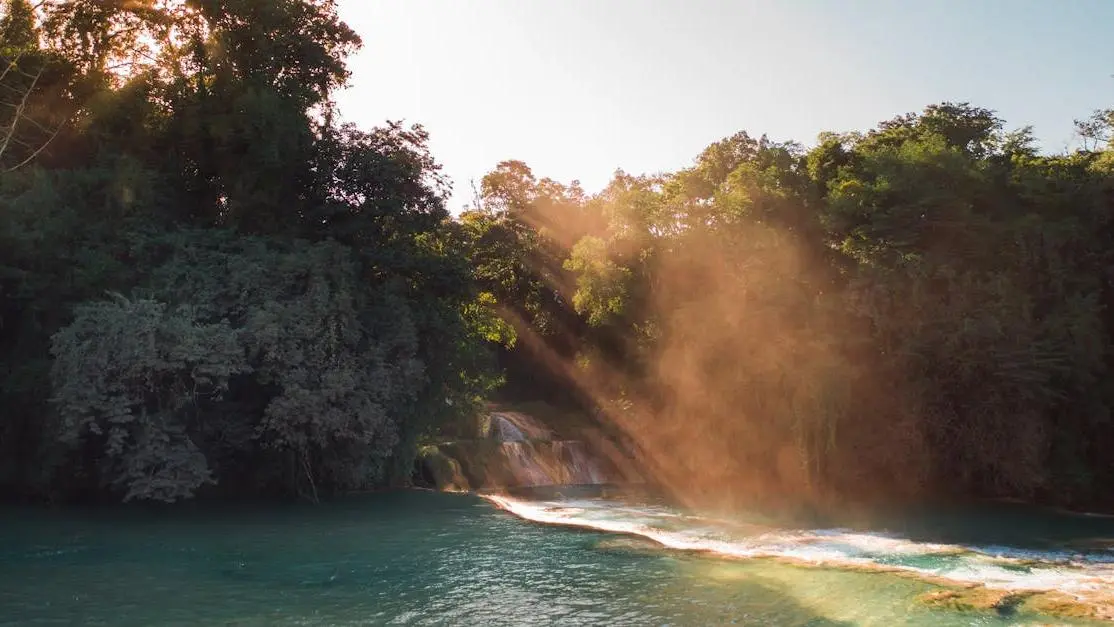 Root canal recovery concept with calming green trees by a serene body of water.