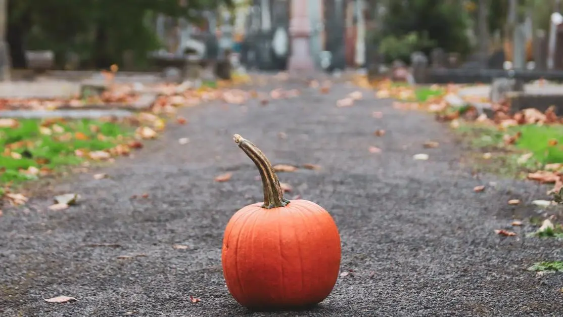 Pumpkin with teeth health tips during Halloween theme